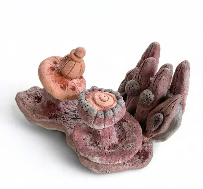 The Pink of Garden Venus V