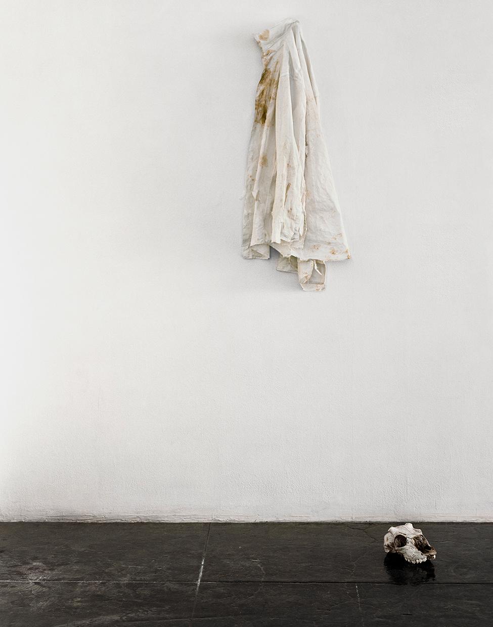 From the series A Study of Eight Landscapes, A border view