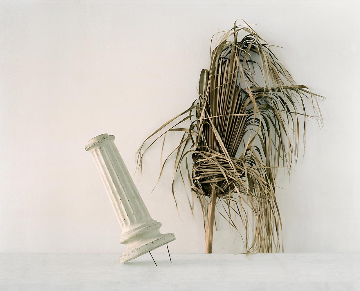 From the series A Study of Eight Landscapes, undetermined remains