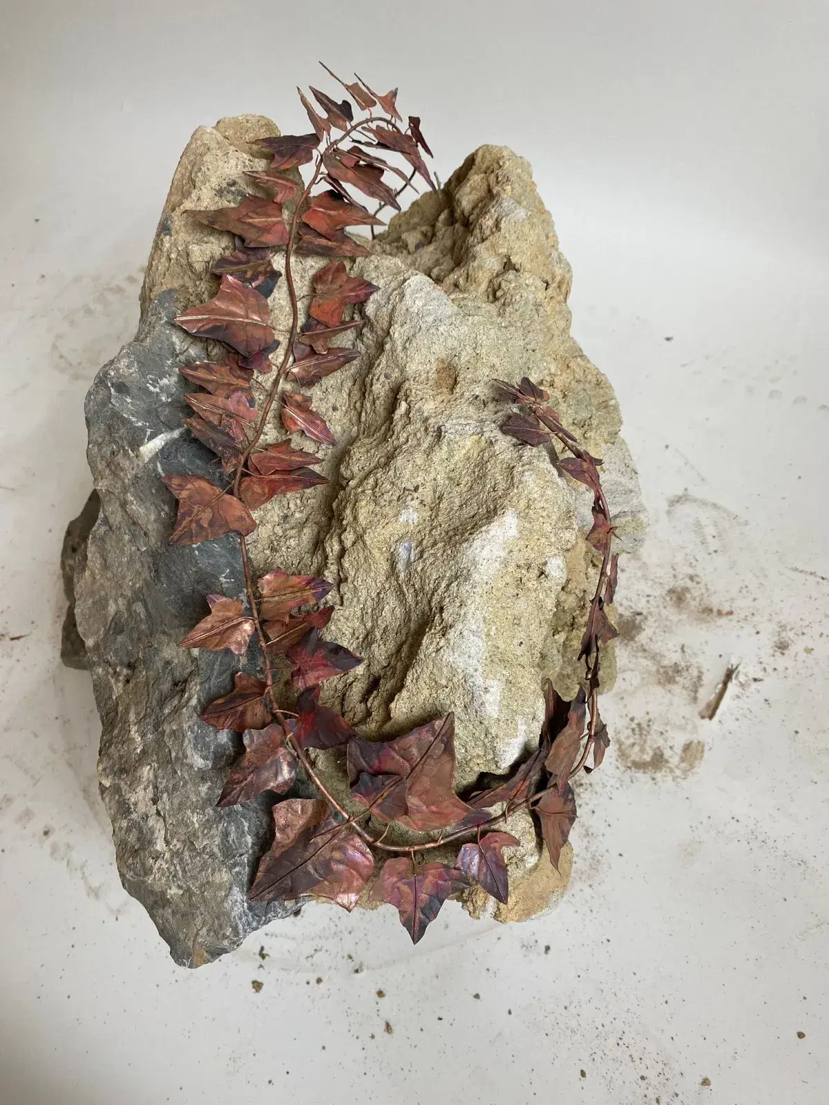 Hafriyat: Kendi Halinde “Bitkilenme”, Orman Sarmaşığı (Hedera Helix)
